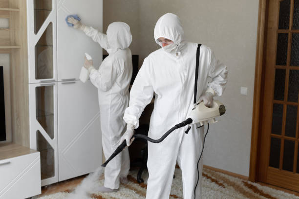 Best Mold Removal Process  in Wayne, WV